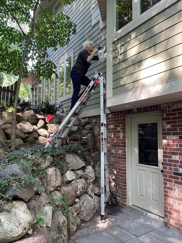 applying bird safety window film to a home