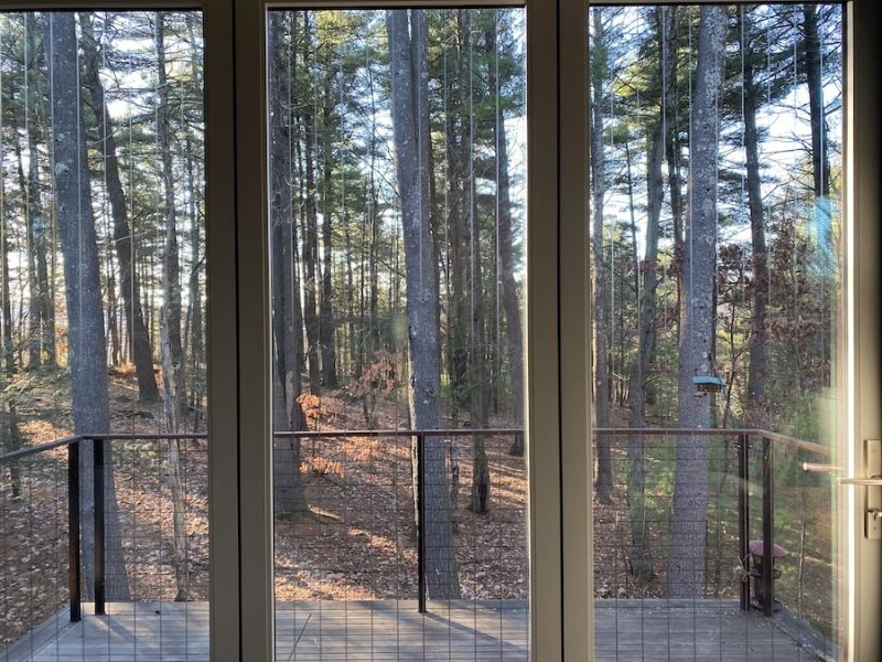 Bird Safety window film installation in Michigan and Indiana